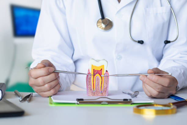 Best Pediatric Emergency Dentist in Chisholm, ME